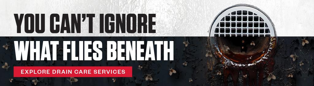 You Can't Ignore What Flies Beneath. CTA - Explore Drain Care Services