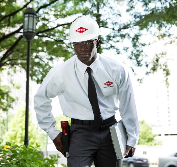 Orkin Pro Inspecting for mosquitoes