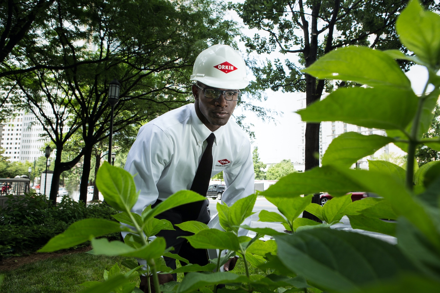 Orkin Pro in Commercial Property Management Setting