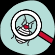 Thorough Bed Bug Inspections icon