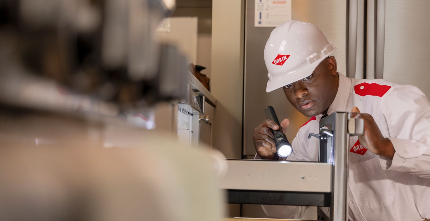 A close up of an Orkin Pro inspecting a microwave for ants