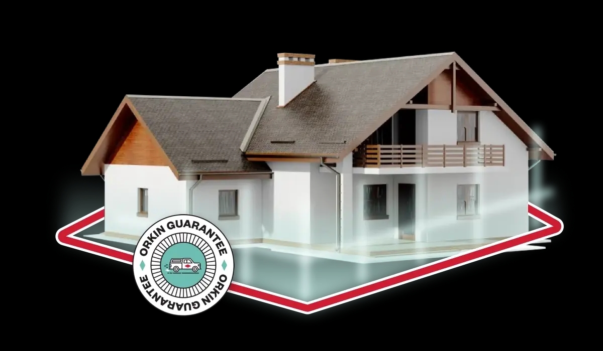Home illustration with Orkin Guarantee Badge